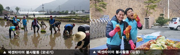 넥센타이어 봉사활동 (모내기), 넥센타이어 봉사활동 (김장)