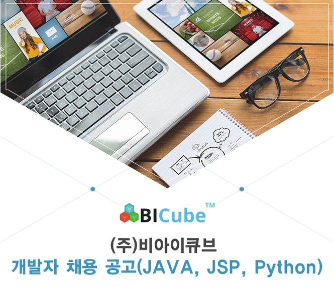 (주)비아이큐브 개발자 채용 공고(JAVA, JSP, Python)