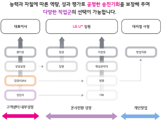 비전체계
