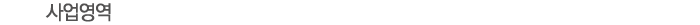 사업영역