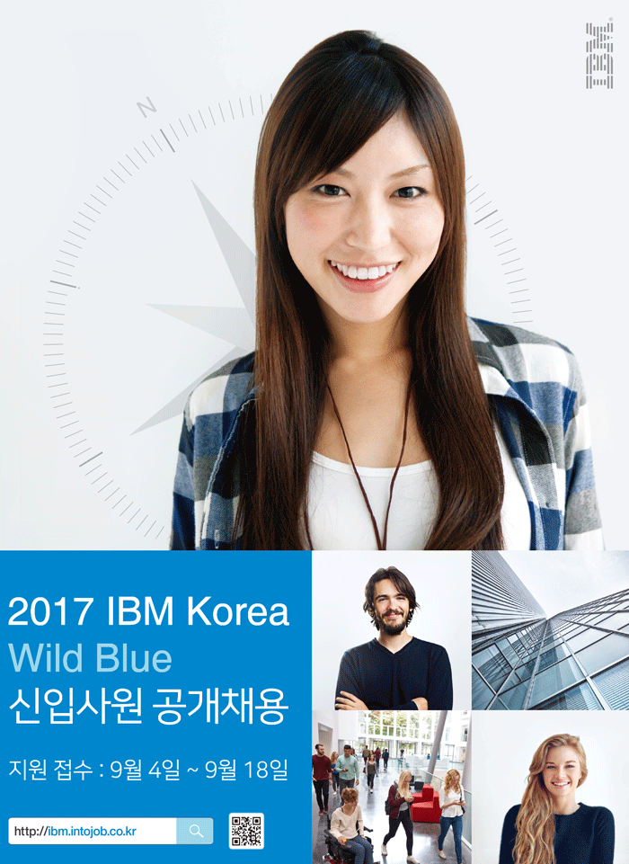 2017 한국IBM Wild Blue 공개채용