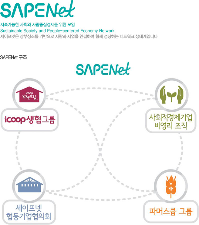 SAPENet구조