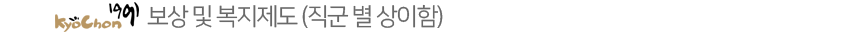 º¸»ó ¹× º¹ÁöÁ¦µµ (Á÷±º º° »óÀÌÇÔ)