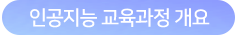 인공지능 교육과정 개요