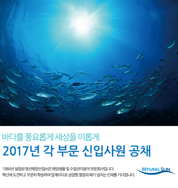 2017년 각 부문 신입사원 공채