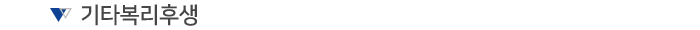 기타복리후생