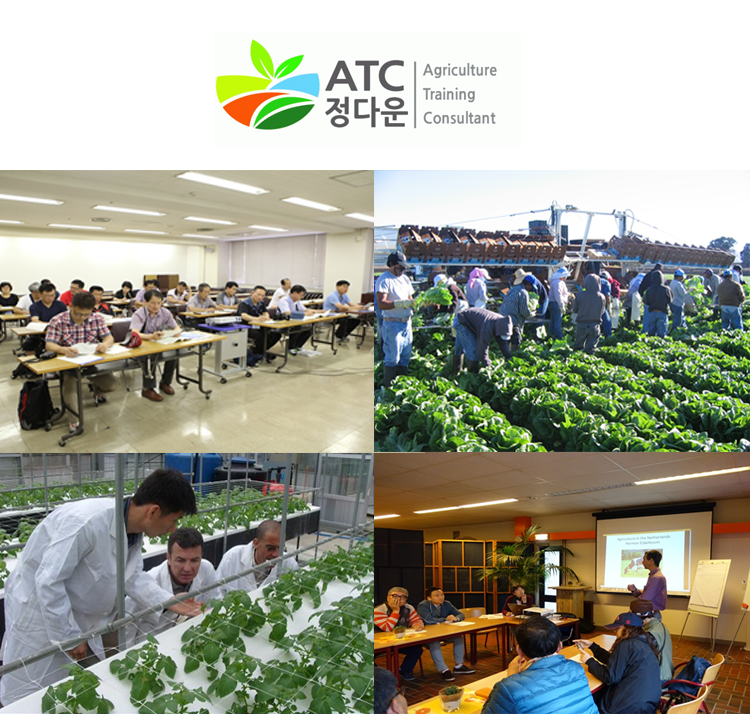[(주)에이티씨정다운] 여행OP, 기획 인센티브 신입&경력 채용 - 사람인