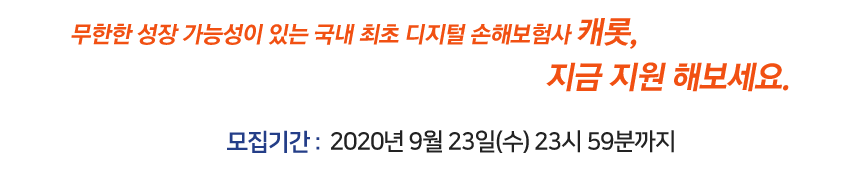 캐롯 모집기간