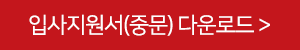 입사지원서(중문)다운로드 