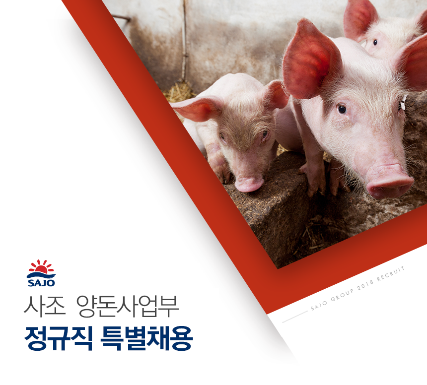 [농업회사법인청림축산(주)] 사조 양돈사업부 정규직 특별채용 - 사람인