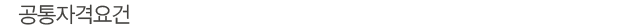 공통자격요건