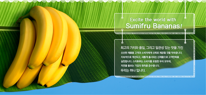 [정규직] 온라인 식품몰 MD 채용공고