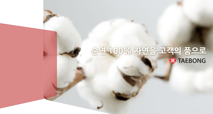 [(주)태봉] (주)태봉 해외마케팅(중국) 경력무관 채용 - 사람인