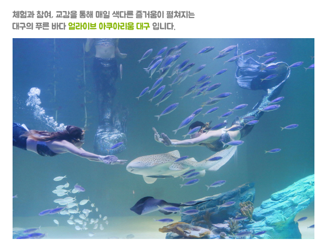 [(주)아쿠아월드] [얼라이브 아쿠아리움 대구] 각 부문별 모집공고 - 사람인